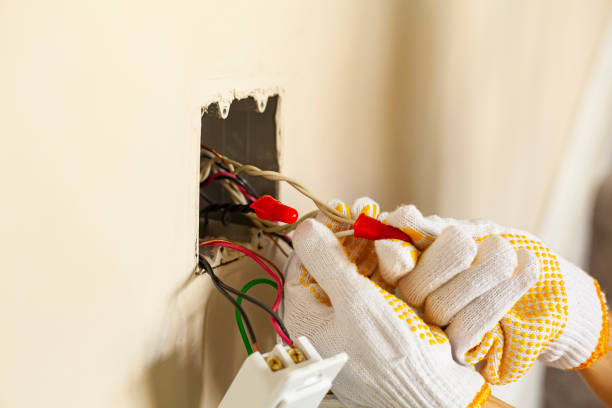 Best Surge Protection Installation  in Steilacoom, WA